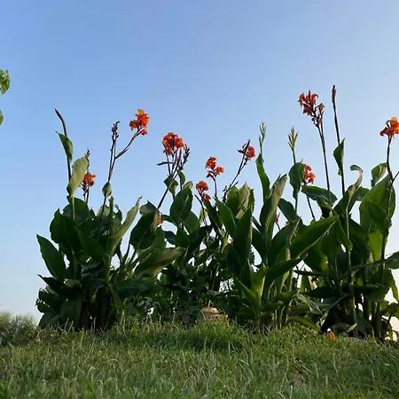 Sea Side View House Dom wakacyjny Dikella